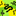 16" x 16"  Silk Charmeuse Scarf - Green and Yellow Snake